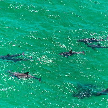 Village Of South Walton B375 Seacrest エクステリア 写真
